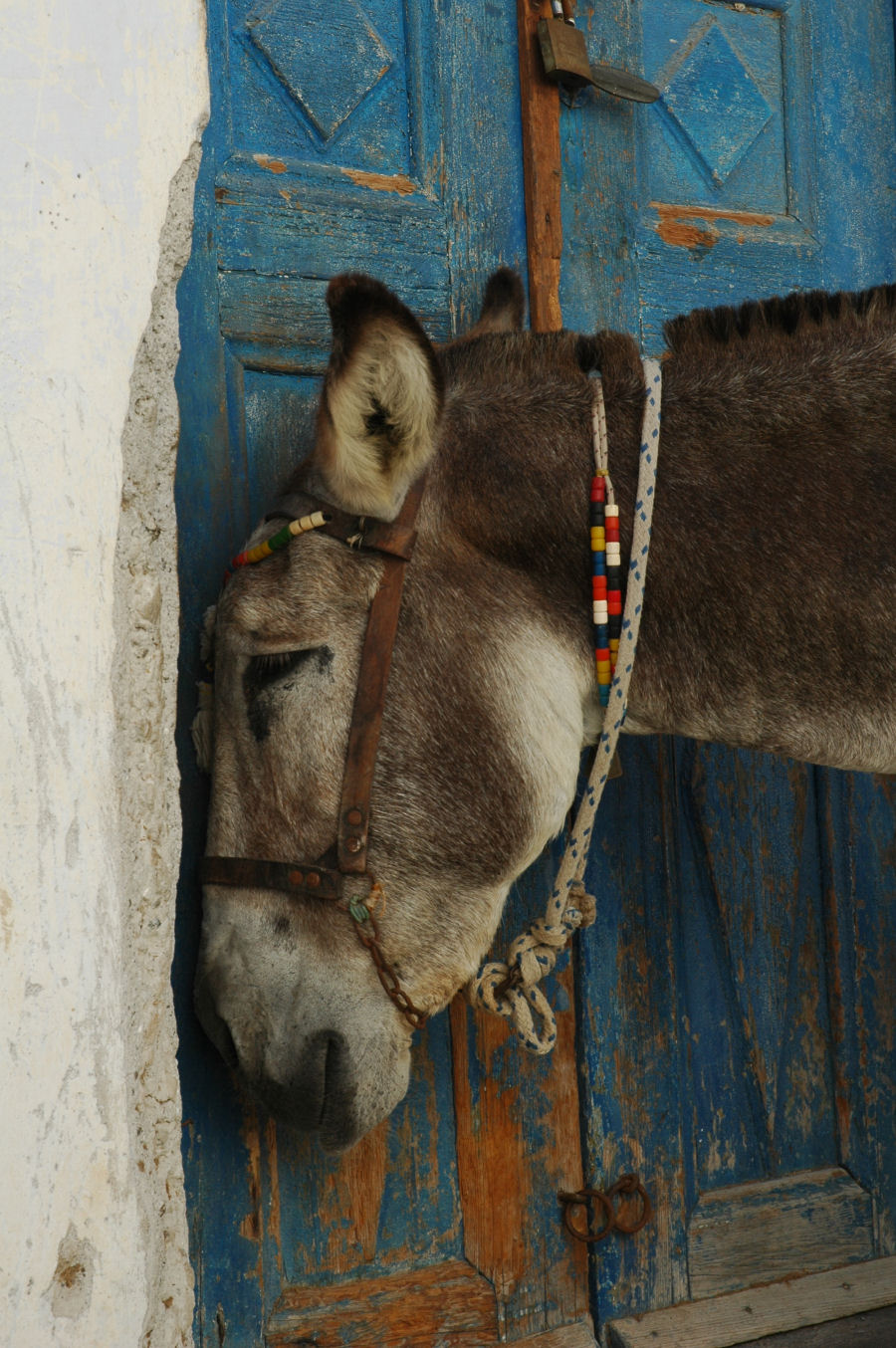 malowane drzwi
