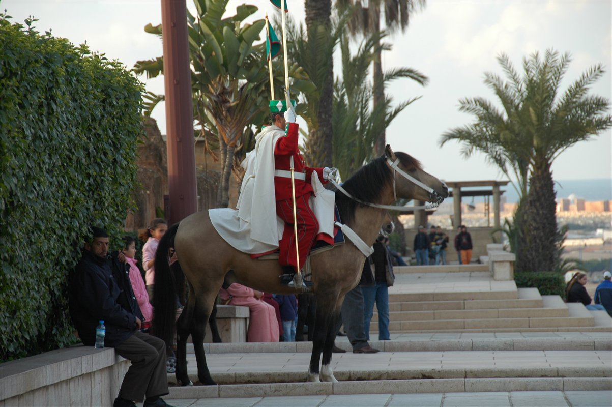 Rabat - warta honorowa