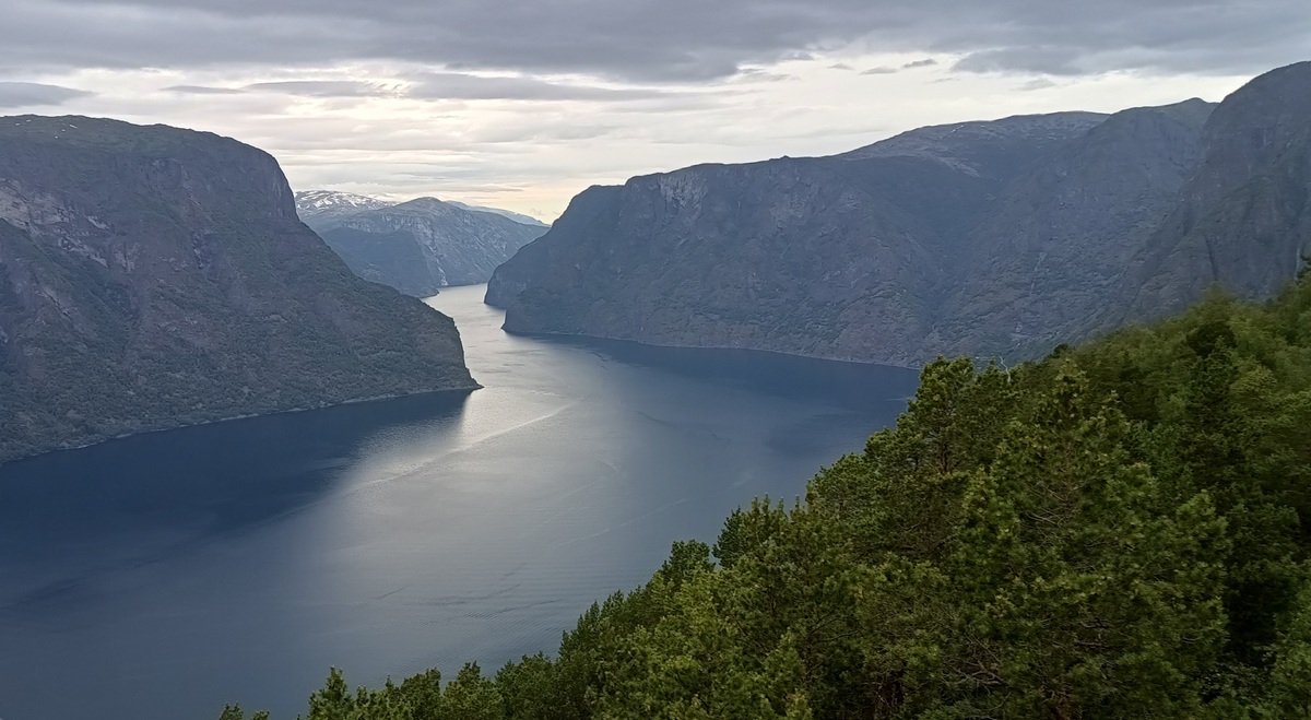 fiord z góry