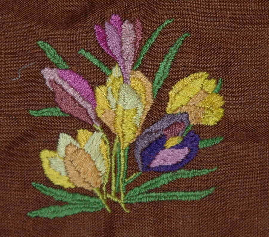 haft - krokusy