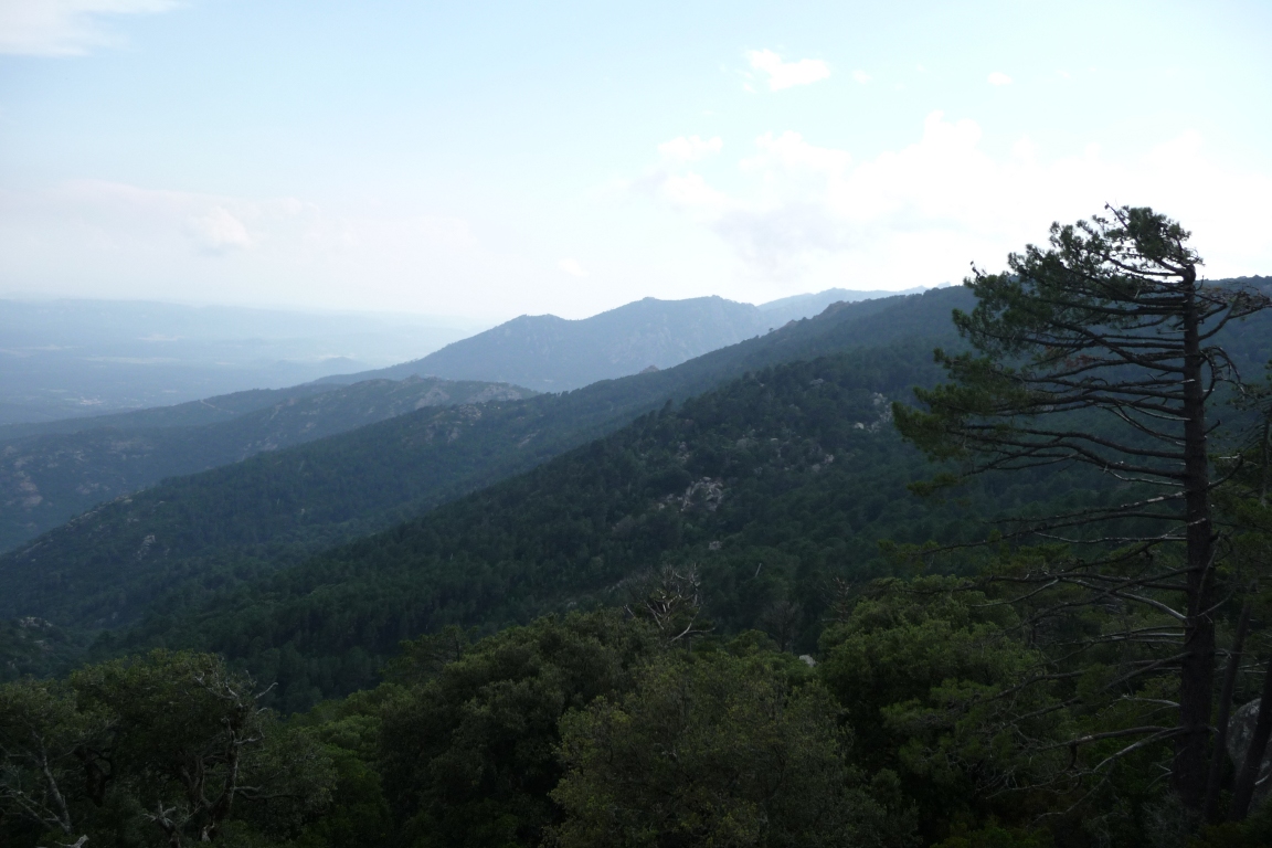 Korsyka - Alta Rocca