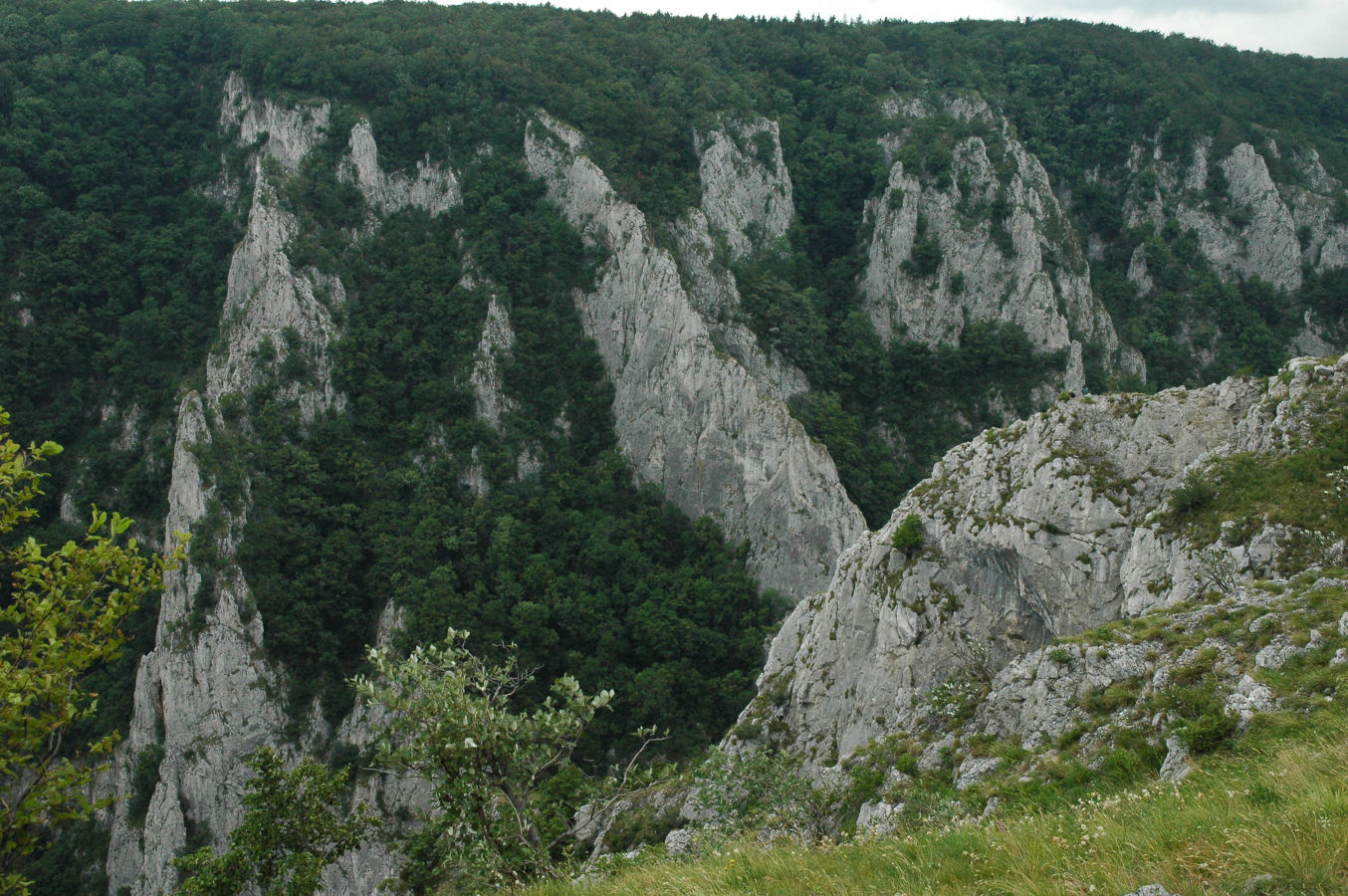 Wąwóz Zadielski