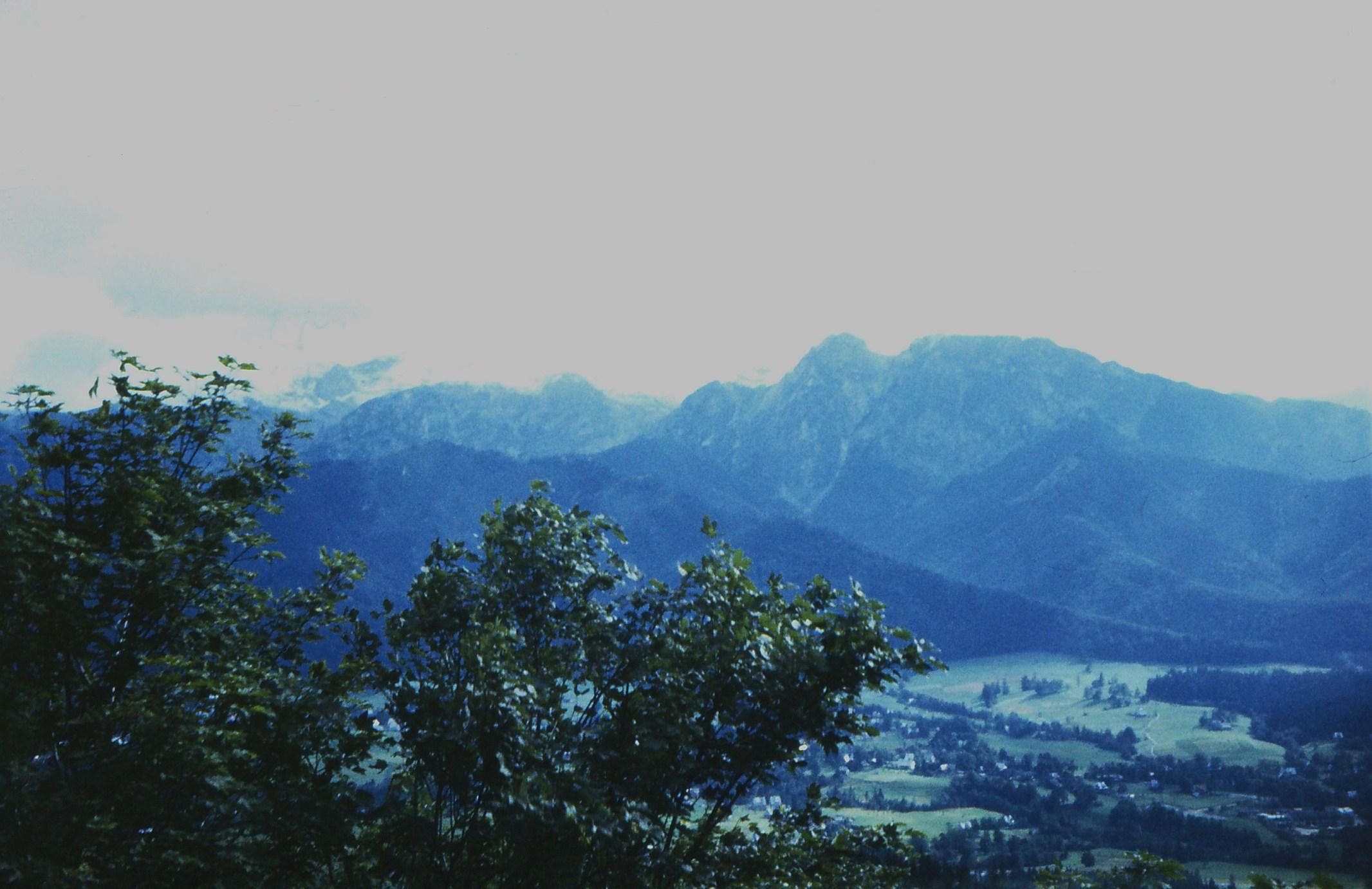 widok z okna
