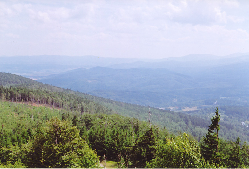 widoki
