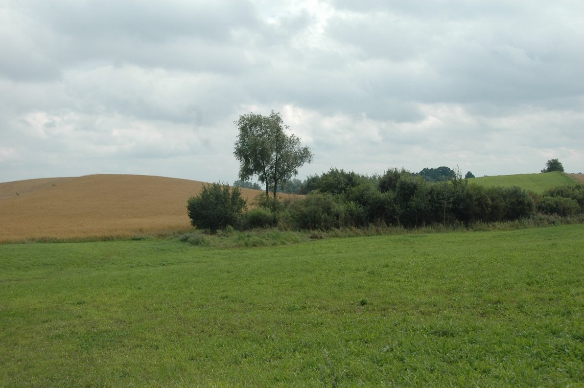 krajobraz