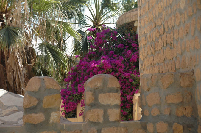 hotel w Nefcie