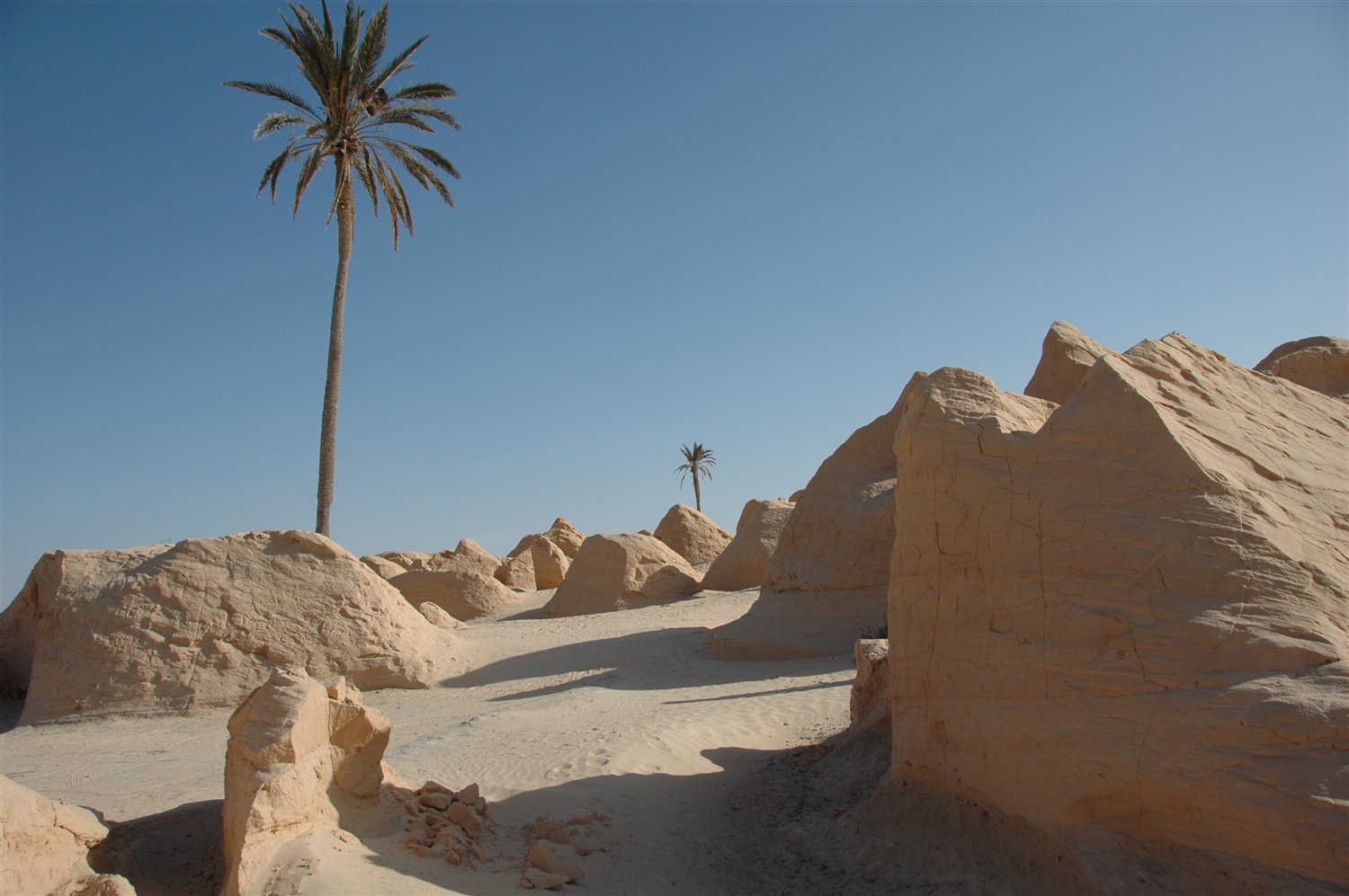 Malownicza Sahara